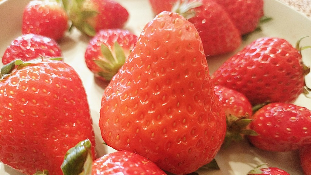 【名古屋市港区】濃厚パスタと旬フルーツ食べ放題を一度に楽しめる、満足度の高いランチ体験